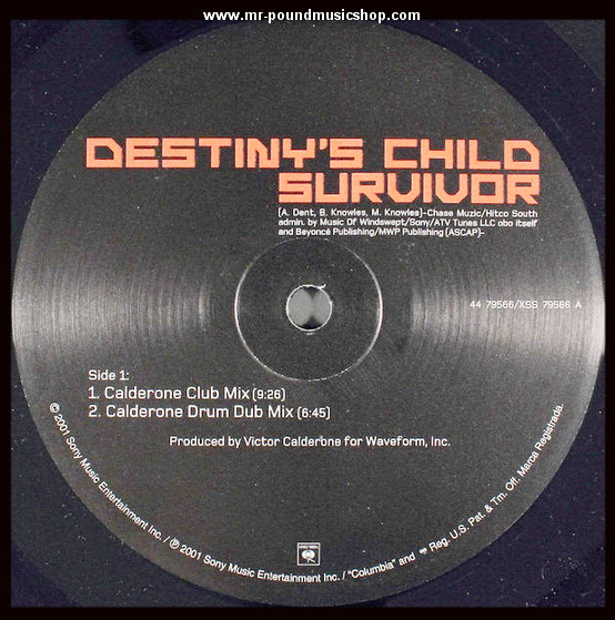 Destiny's Child - Survivor (Dance Mixer)