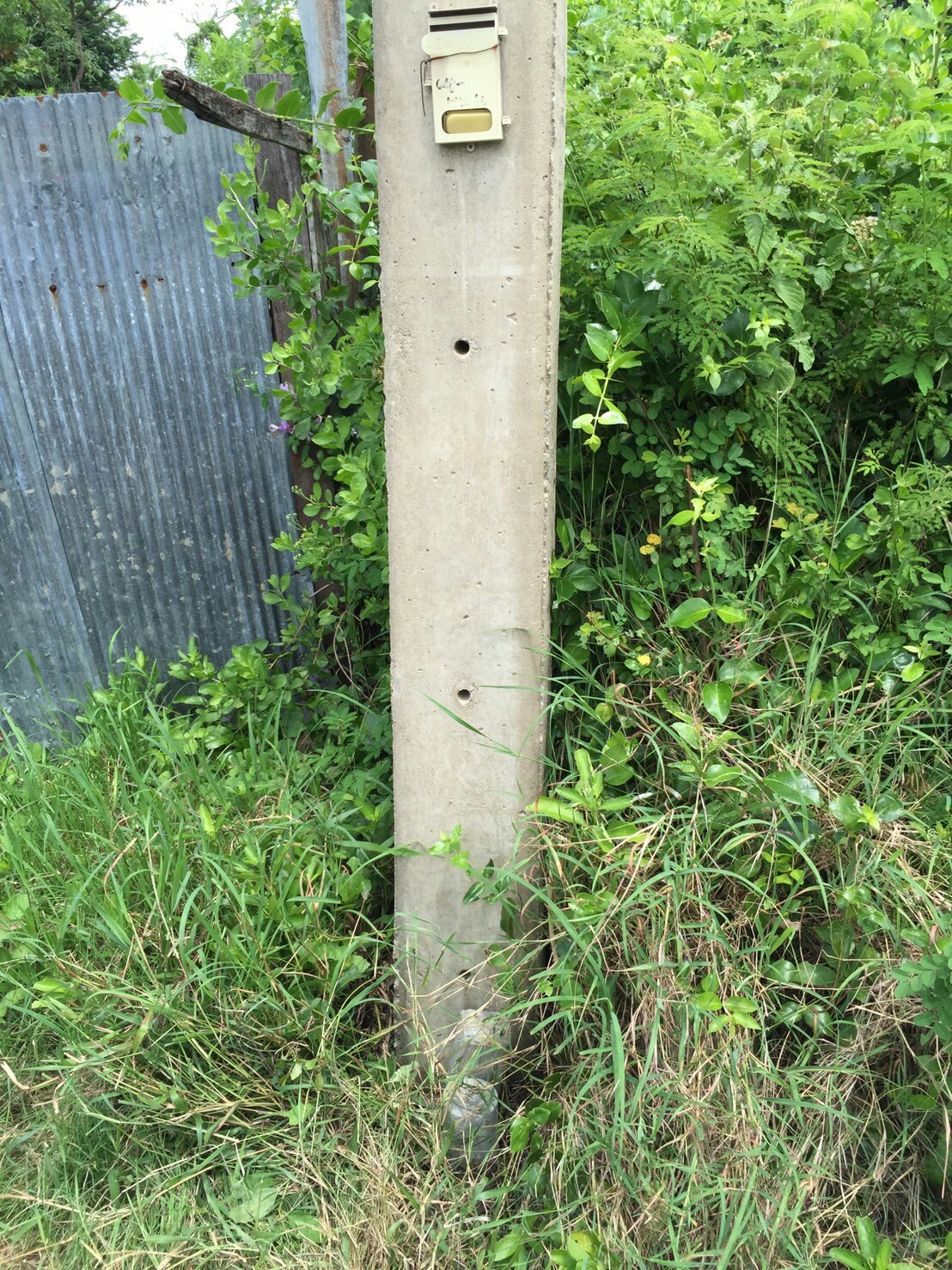 รหัสทรัพย์ 87582 ขายที่ดิน 2 แปลงจังหวัดนครปฐม 2 แปลงติดกัน