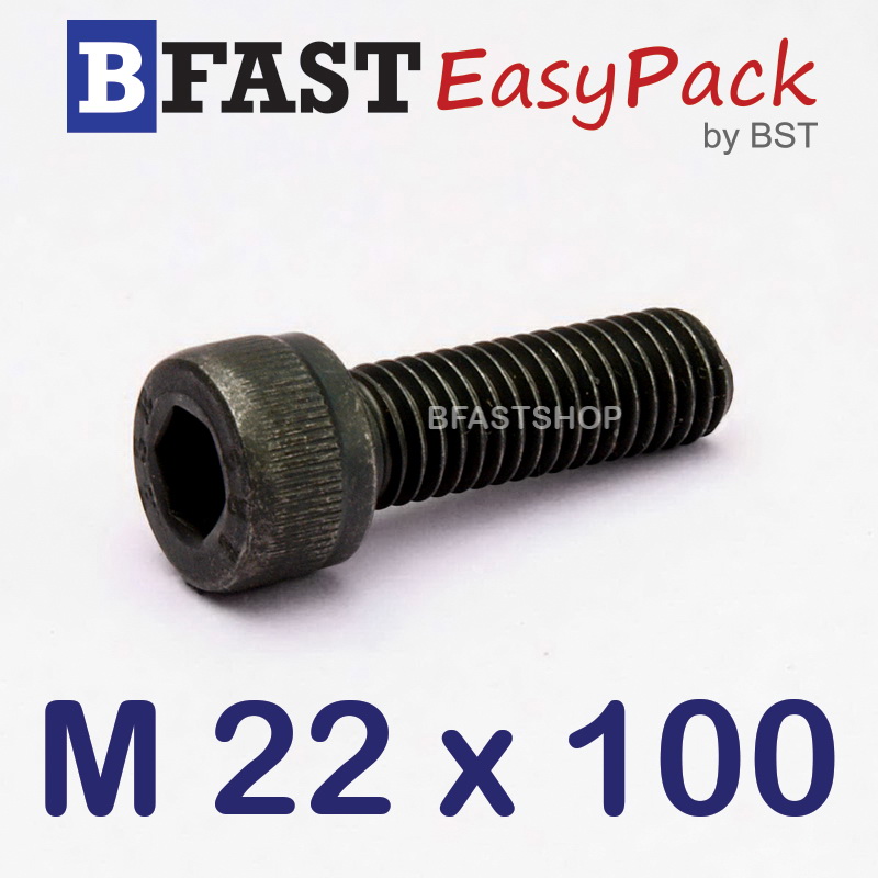 สกรูหัวจมดำ M 22 x 100 *เกลียวครึ่ง*