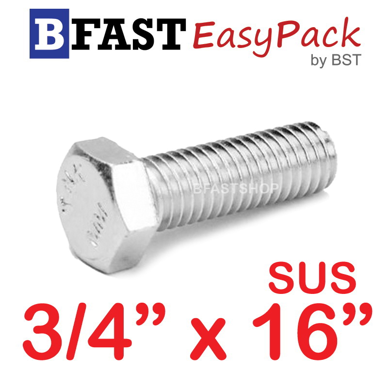 สกรูหัวเหลี่ยมสแตนเลส 3/4" x 16" (1 ตัว)