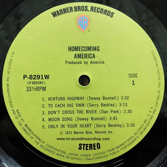 America - Homecoming