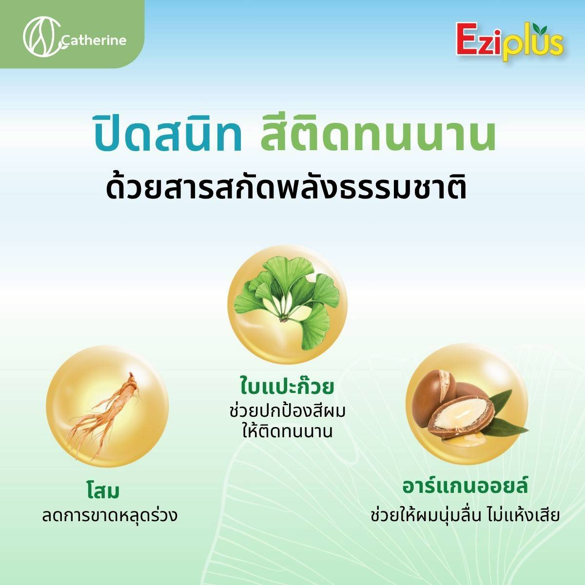 แคทเธอรีน อีซี่พลัส แชมพูปิดผมขาว 30ML. สูตรใบแปะก๊วย อาร์กานออยล์ โสม มี 4 สี