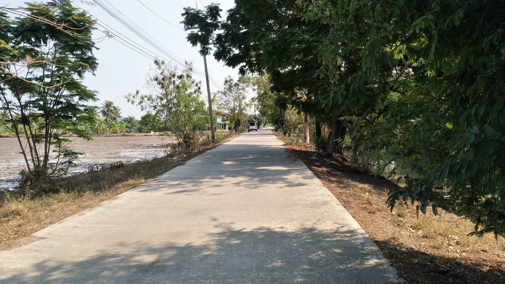 ขายที่ดินเปล่า อ. สามโคก จ.ปทุมธานี 11 ไร่ 12 ตร.วา 1.49ล้านต่อไร่ (ราคานี้จองภายในเดือนมีนาคม 63 )