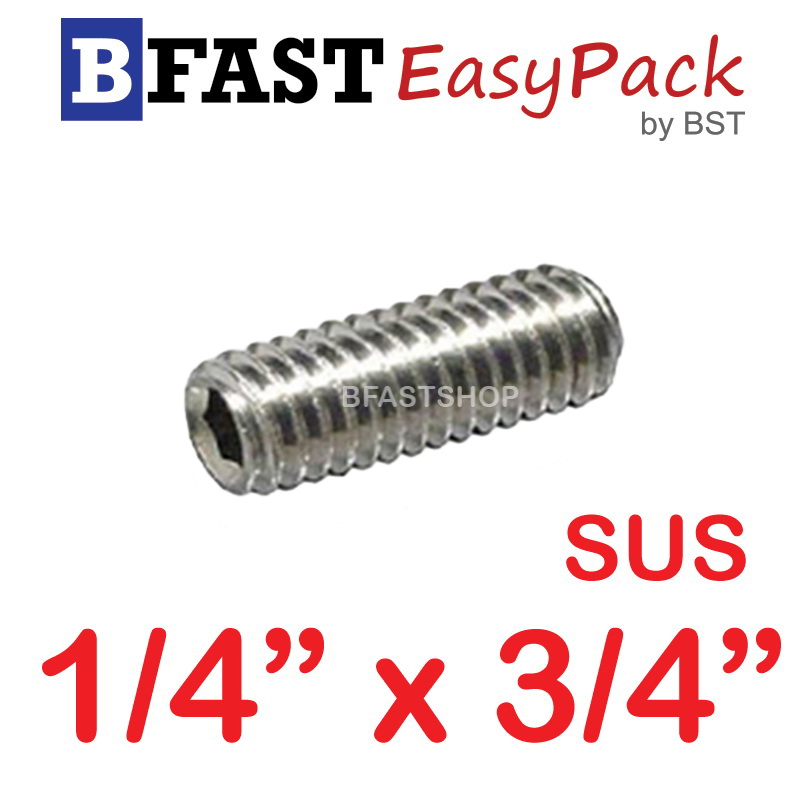 สกรูตัวหนอนสแตนเลส SUS 1/4 x 3/4 (8 ตัว/ถุง)