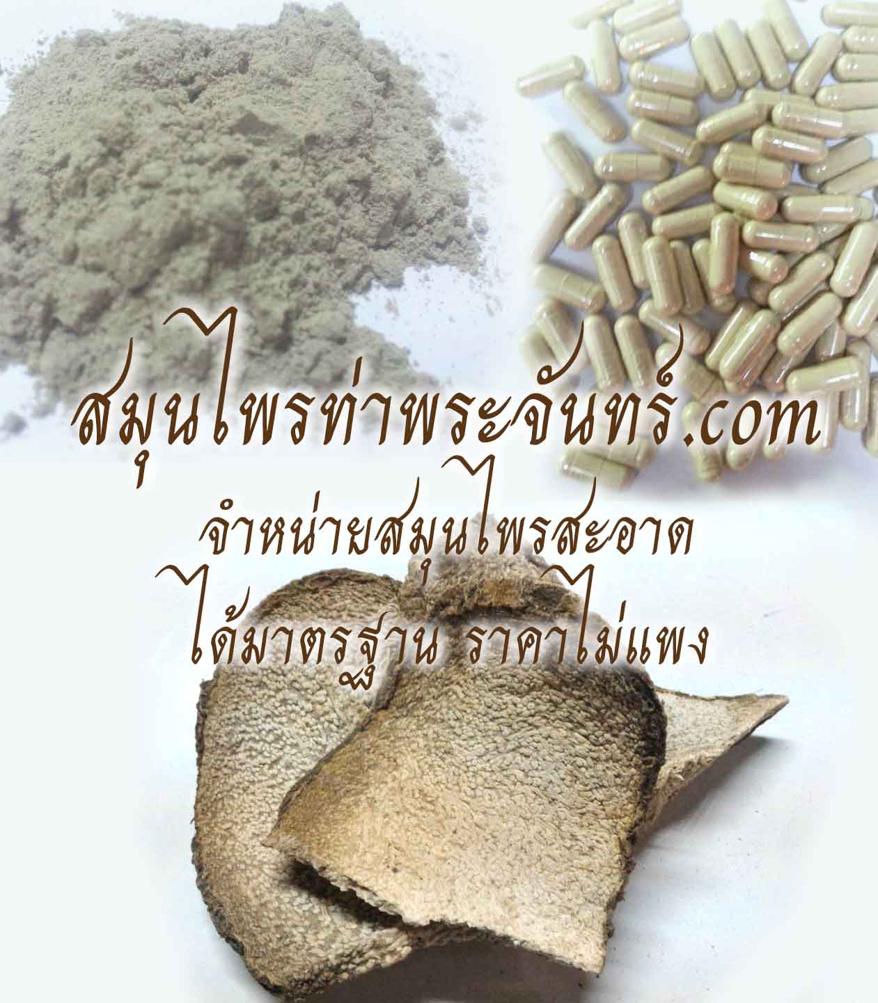 สมุนไพรหัวบุก