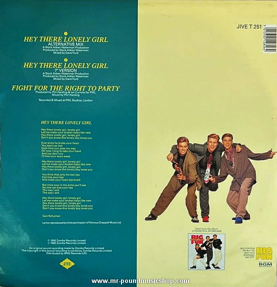 Big Fun - Hey There Lonely Girl