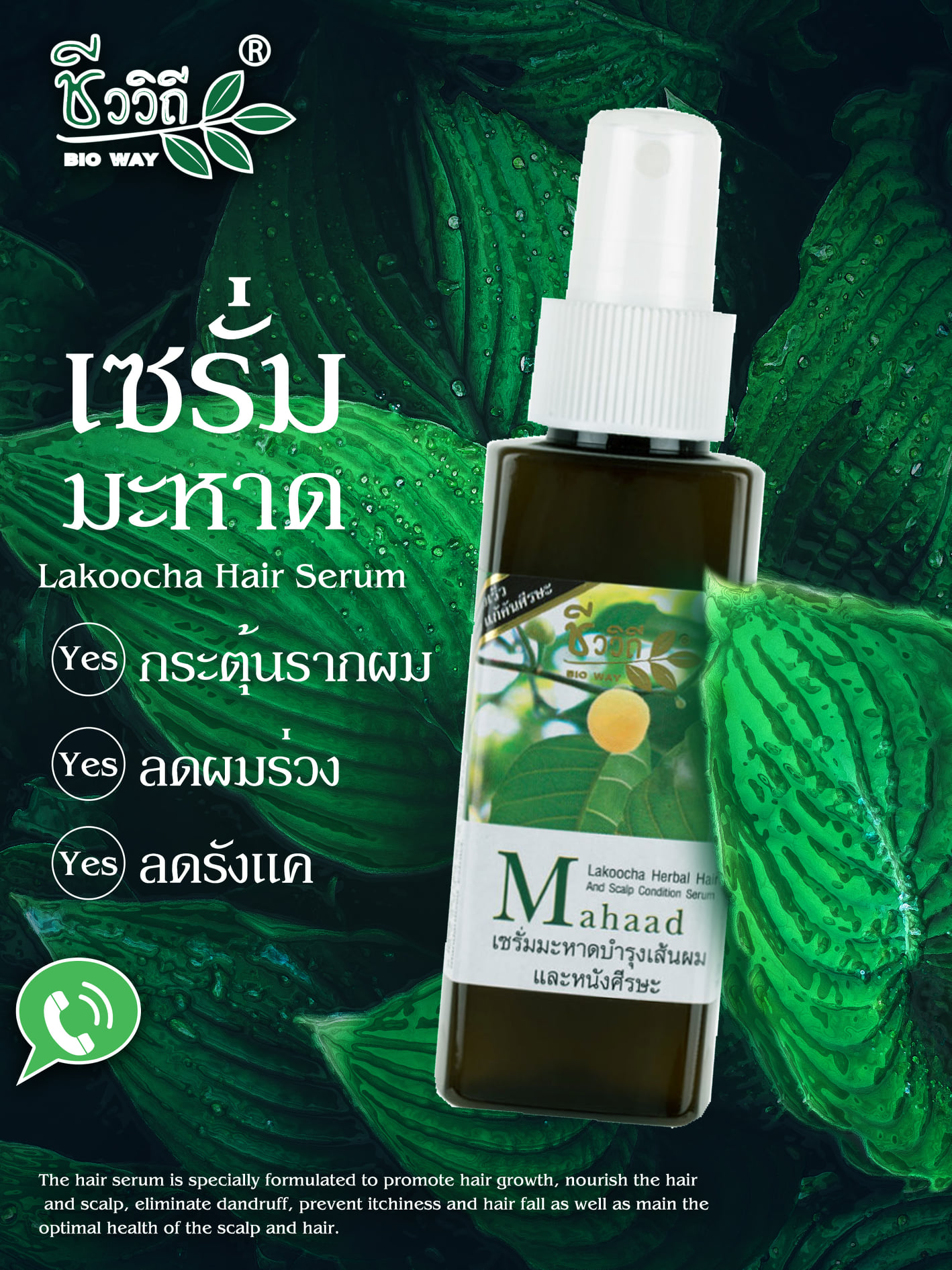 ชีววิถี เซรั่มสมุนไพรสูตรมะหาดบำรุงผม 120 มล.ป้องกันรังแค แก้คันหนังศีรษะ ป้องกันผมร่วง