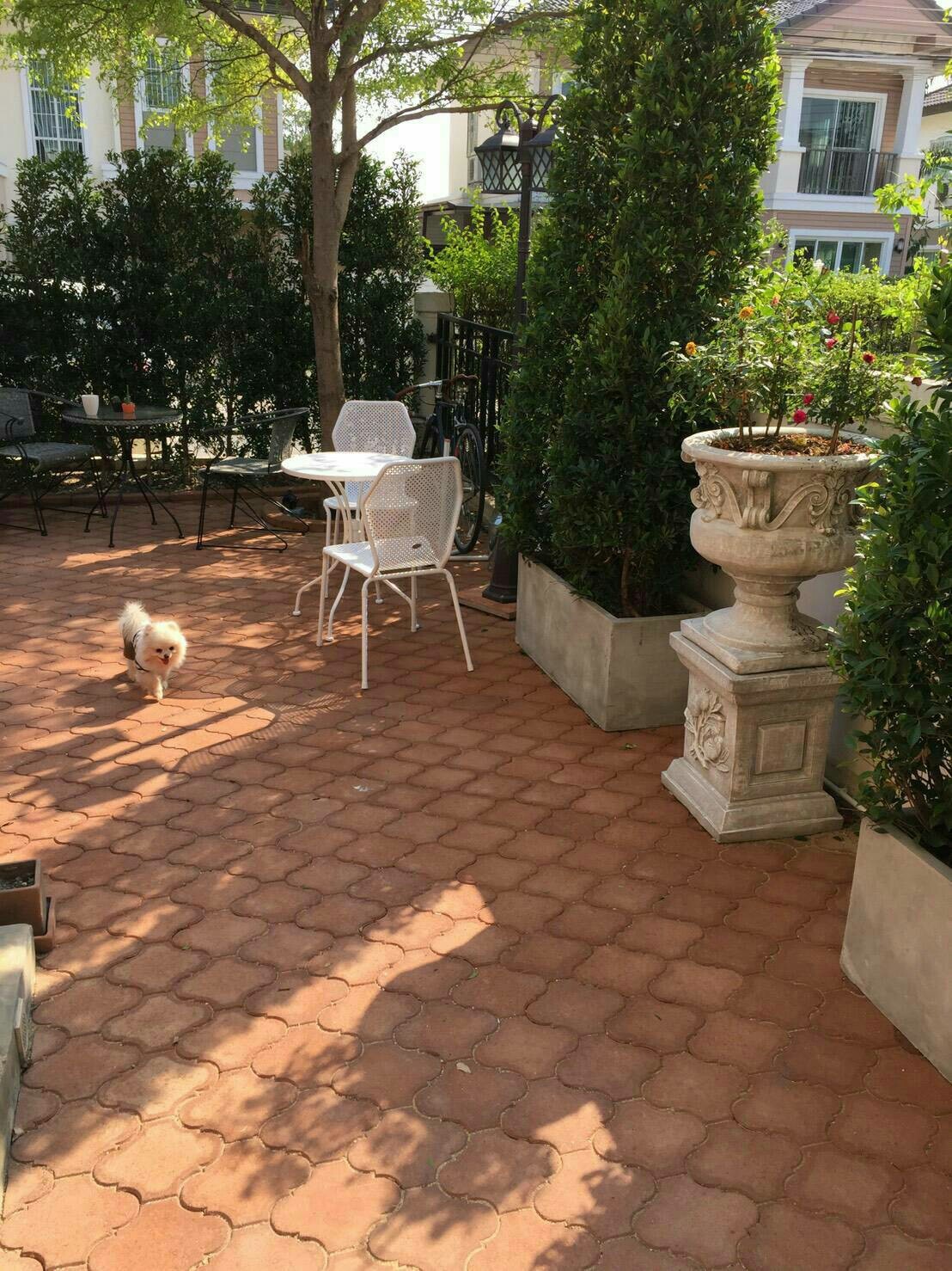 ให้เช่า บ้านเดี่ยว 2 ชั้น โครงการหมู่บ้านภัสสร 19 ถ.สุขาภิบาล 5 (วัชรพล– จตุโชติ ) บ้านพร้อมเข้าอยู่ พื้นที่ใช้สอย 160 ตารางเมตร