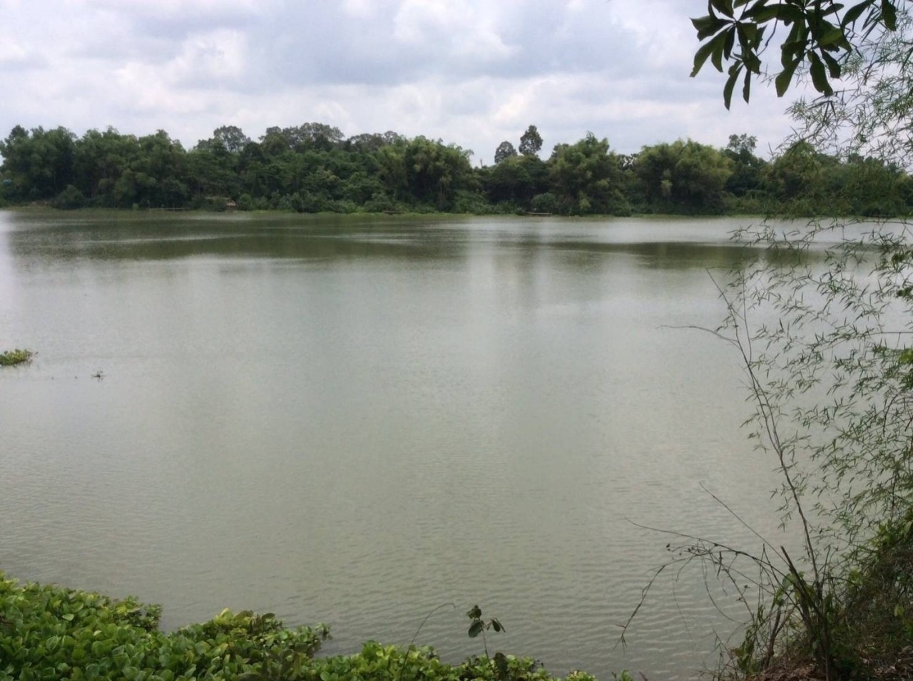 ขายที่ดินสวยติดแม่น้ำมูลทั้งผืน อำเภอ พิบูลมังสาหาร จังหวัด อุบลราชธานี อากาศเย็นสบายทั้งปี