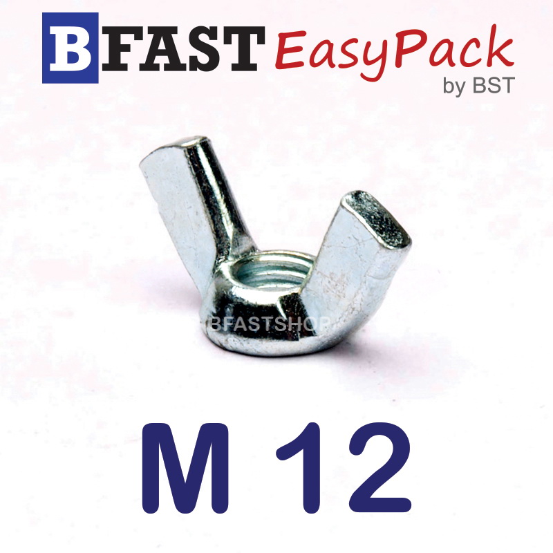 หางปลาเหล็กเหนียว M12 (1 ตัว)