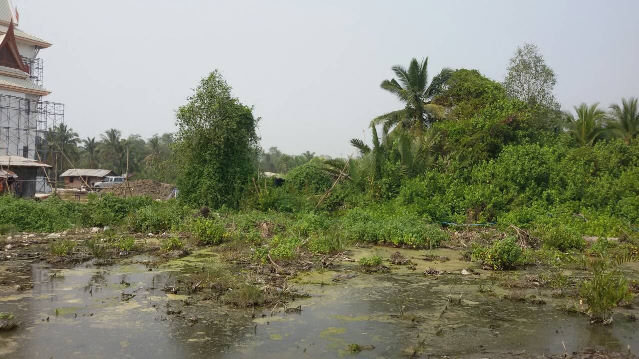 ขายที่ดินเปล่าปากทางเข้า มหาชัย พื้นที่ 80 ไร่ ขายไร่ละ 4.0 ล้าน ติดถนนพระราม ๒