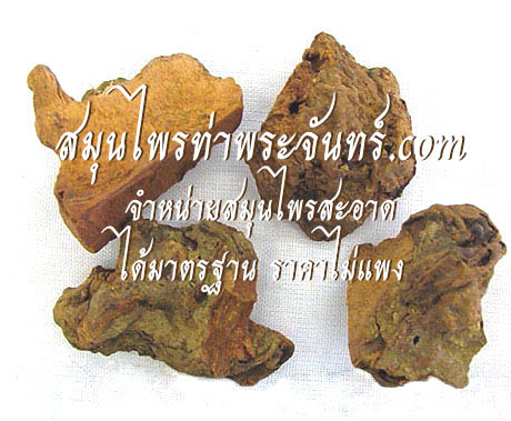 ข้าวเย็นเหนือแห้ง
