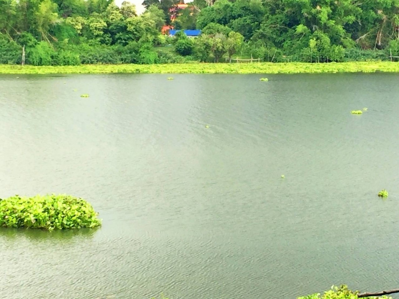 ขายที่ดินสวยติดแม่น้ำมูลทั้งผืน อำเภอ พิบูลมังสาหาร จังหวัด อุบลราชธานี อากาศเย็นสบายทั้งปี