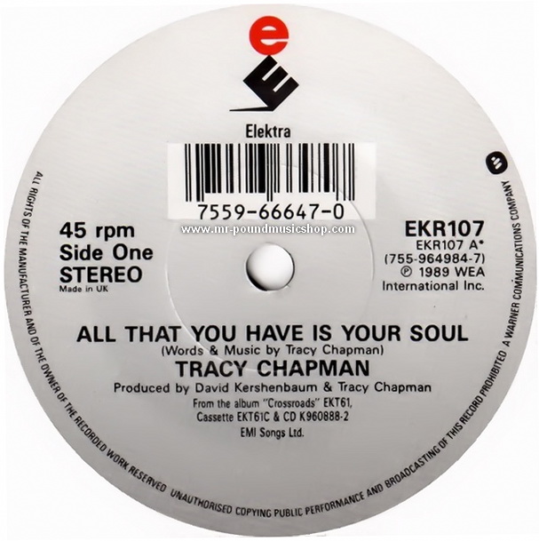 Tracy Chapman - All That You Have