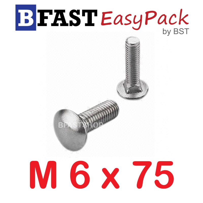 สกรูหัวกลมคอเหลี่ยมสแตนเลส M6 x 75 (3 ตัว/ถุง)