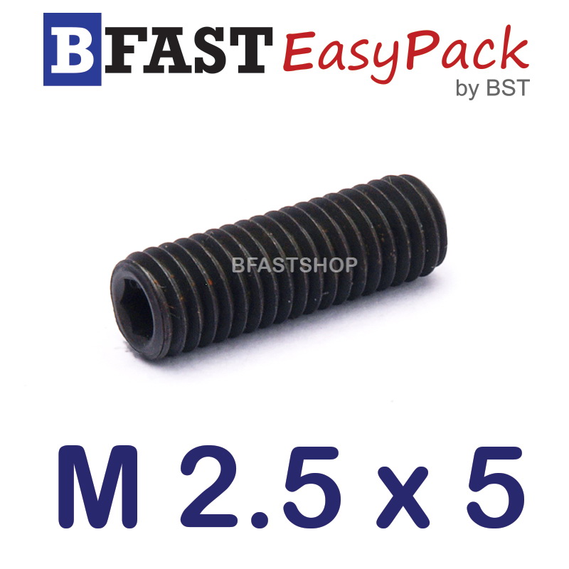 สกรูตัวหนอนดำ M 2.5 x 5 (5 ตัว/ถุง)