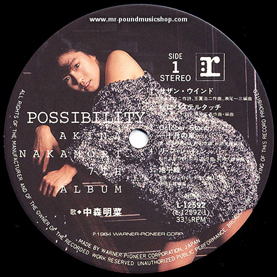 Akina Nakamori - Possibility