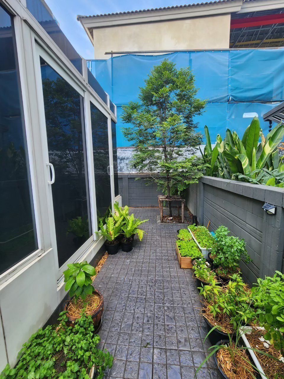 ให้เช่า บ้านเดี่ยว แกรนด์ดิโอ วิภาวดีรังสิต (Grandio Vibhavadi-Rangsit) 💰 เช่าเพียง 80,000 บาท/เดือน