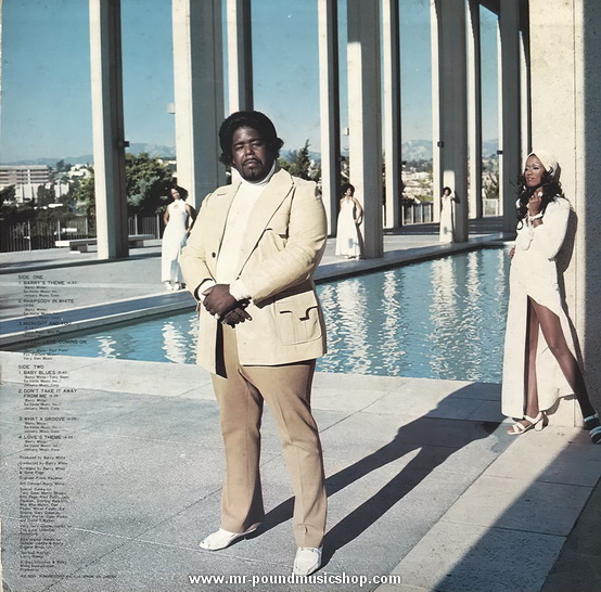 The Love Unlimited Orchestra - Rhapsody in White