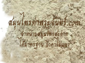 กระพังโหมผง / ตดหมูตดหมาผง