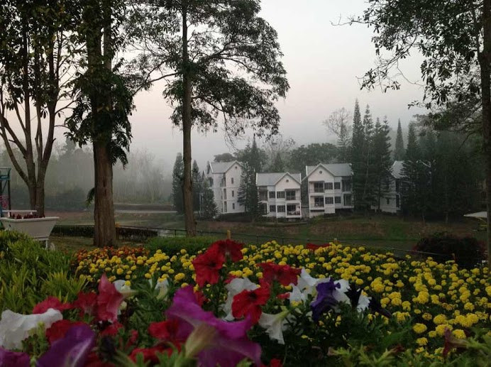 รหัสทรัพย์ 32240 ให้เช่า / ขาย บ้านเดี่ยว 2 ชั้น ใน Brookside Valley Rayong ใกล้ทะเลสาบ ( เดินแค่ 20 วินาที ) เนื้อที่ 105 ตรว. 3 ห้องนอน 2 ห้องน้ำ โซฟาสามารถปรับเป็นเตียงนอนได้