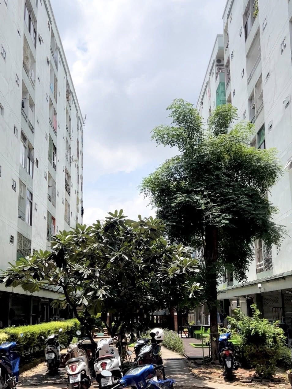 Pet-Friendly Condo! เลี้ยงสัตว์ได้ #ขายคอนโดต่ำกว่าล้าน รีโนเวทใหม่ เฟอร์ครบ พร้อมอยู่