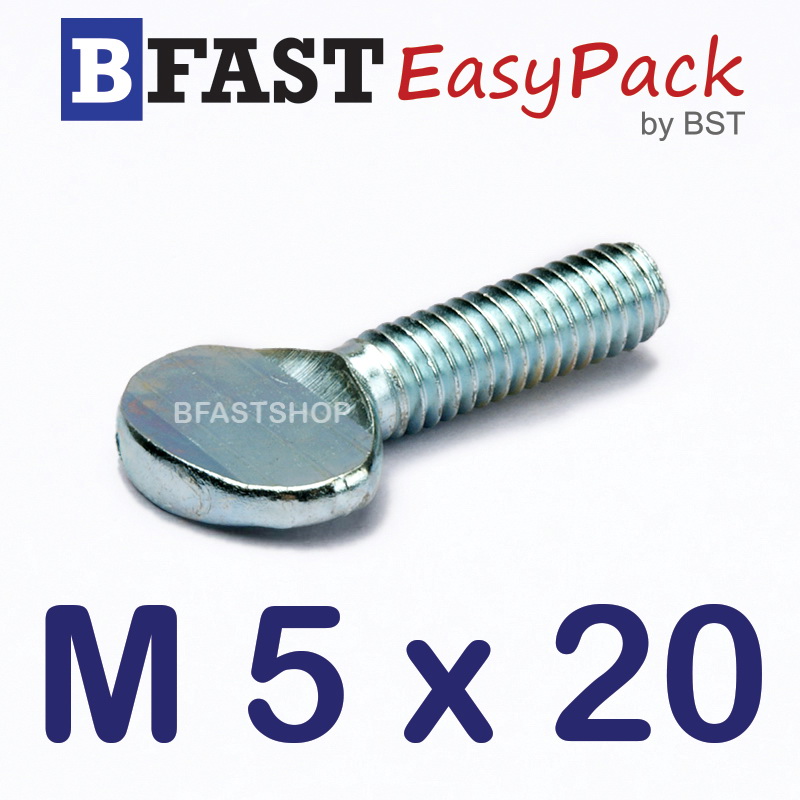 สกรูหางปลาแบน M5 x 20 (8 ตัว/ถุง)