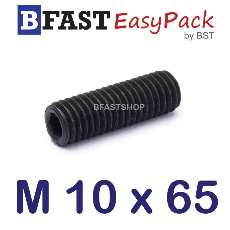 สกรูตัวหนอนดำ M 10 x 65