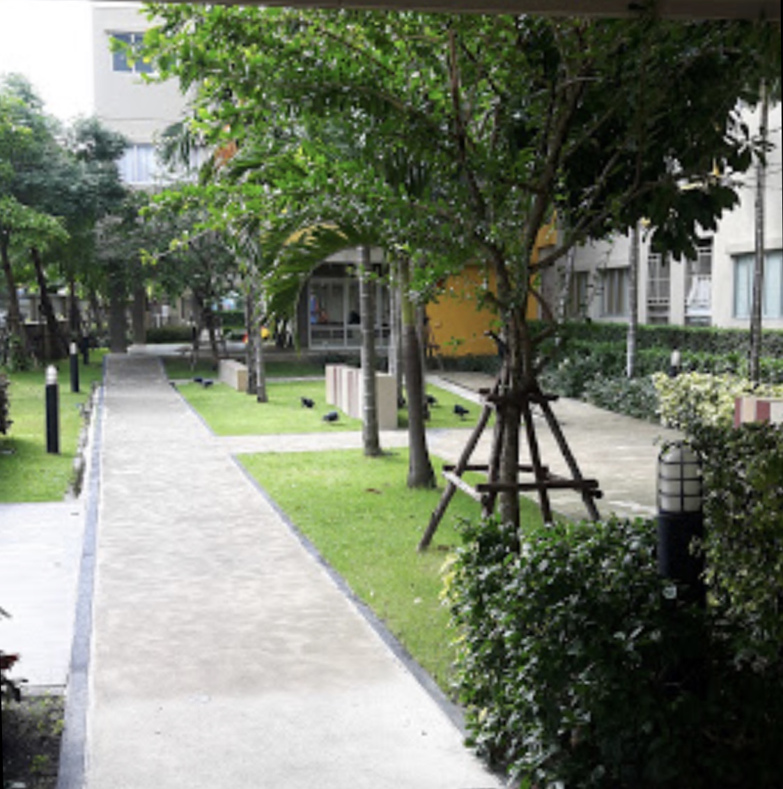 ให้เช่าคอนโด ลุมพินี นิด้า เสรีไทย Lumpini Condo Town Nida – seri-thai ) 1 ห้องนอน 1 ห้องน้ำ ขนาด 23 ตรม