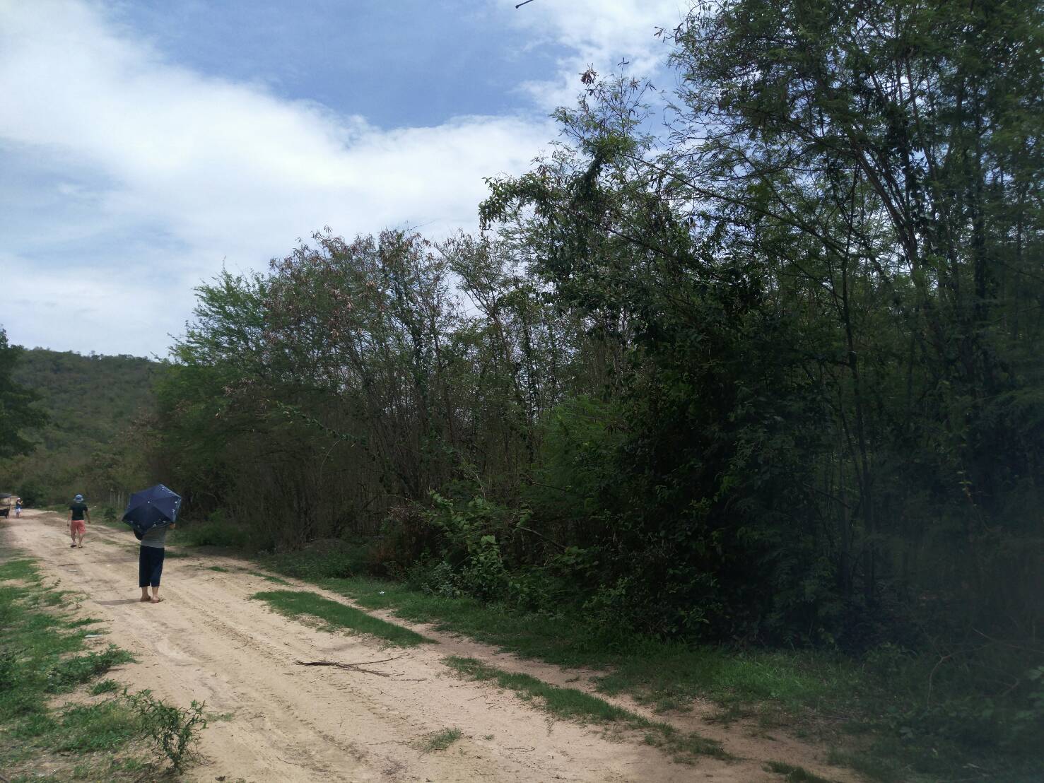 ห้เช่าที่ดินหลังศาลจังหวัดหัวหิน เนื้อที่ประมาณ 10 ไร่ สามารถแบ่งเช่าได้