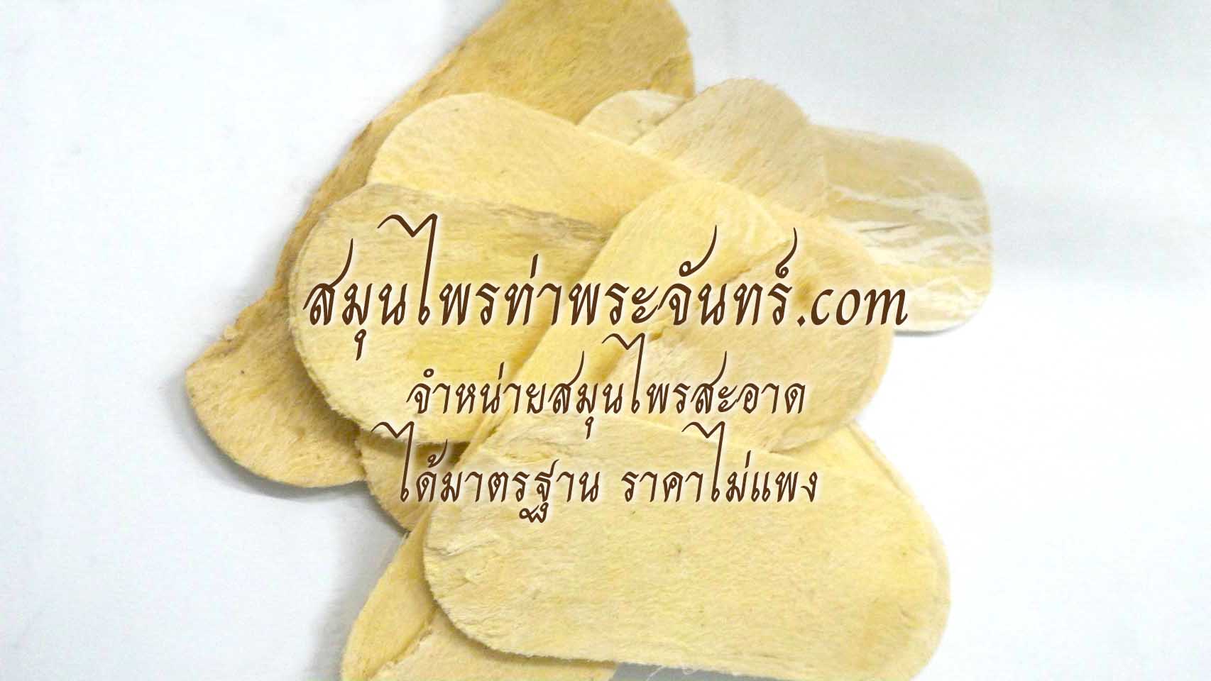 สมุนไพรปักคี้ / ปัคกี้