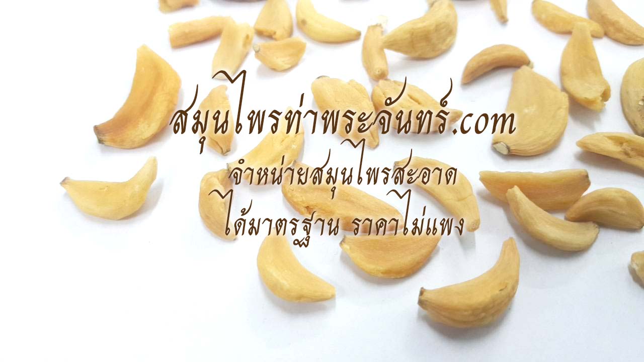 กระเทียมแห้ง