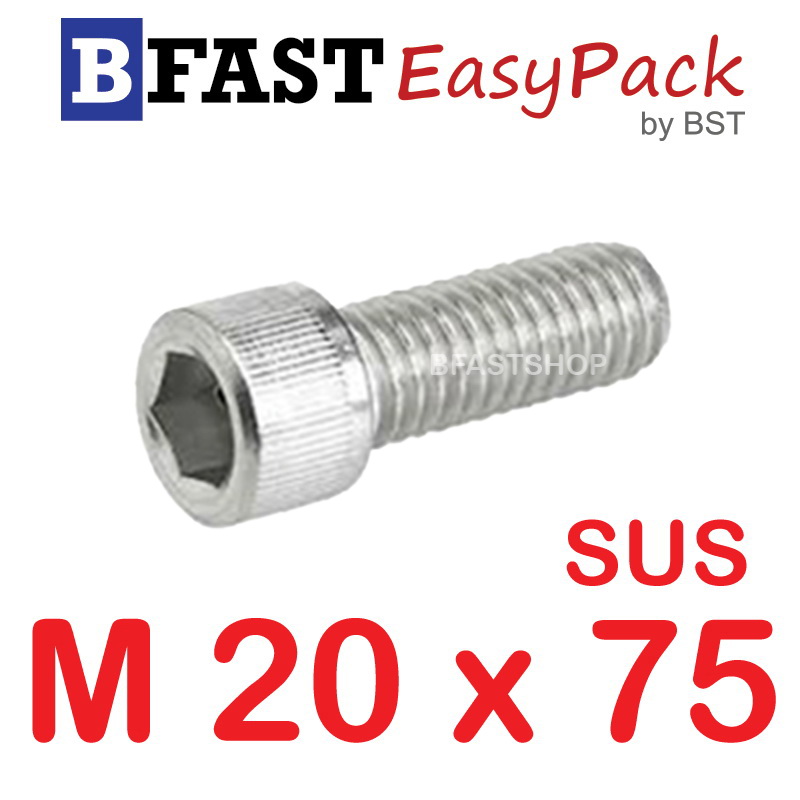 สกรูหัวจมสแตนเลส SUS M20 x 75 (1 ตัว/ถุง)