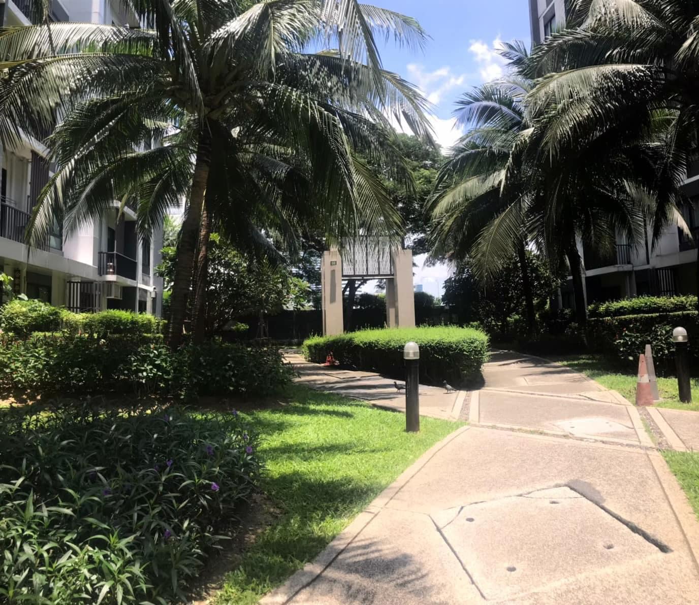 ขาย / ให้เช่า 6,700 / เดือน คอนโด I CONDO Sukhumvit 105 (ไอ คอนโด สุขุมวิท 105) ใกล้ BTS ใหม่สายสีเหลือง ขนาดห้อง 31.2 ตารางเมตร (กว้างมักๆ)