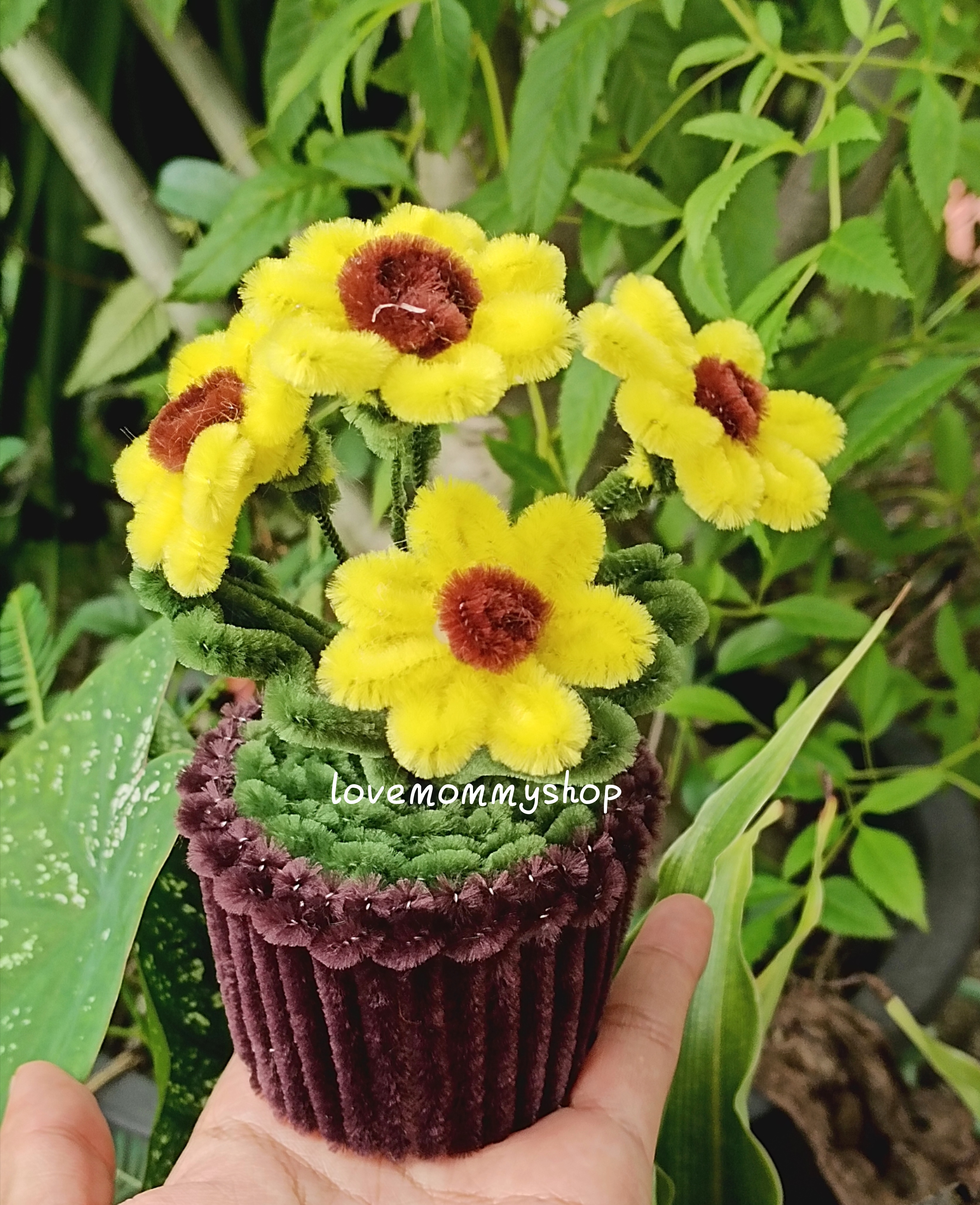 กระถางดอกไม้ ดอกทานตะวัน ดอกทิวลิป