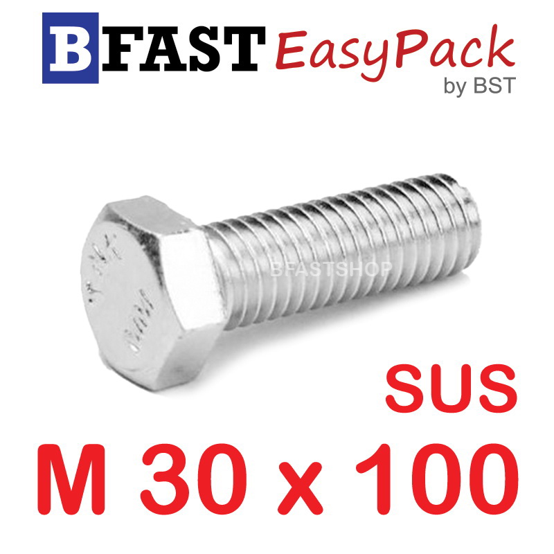 สกรูหัวเหลี่ยมสแตนเลส M30 x100