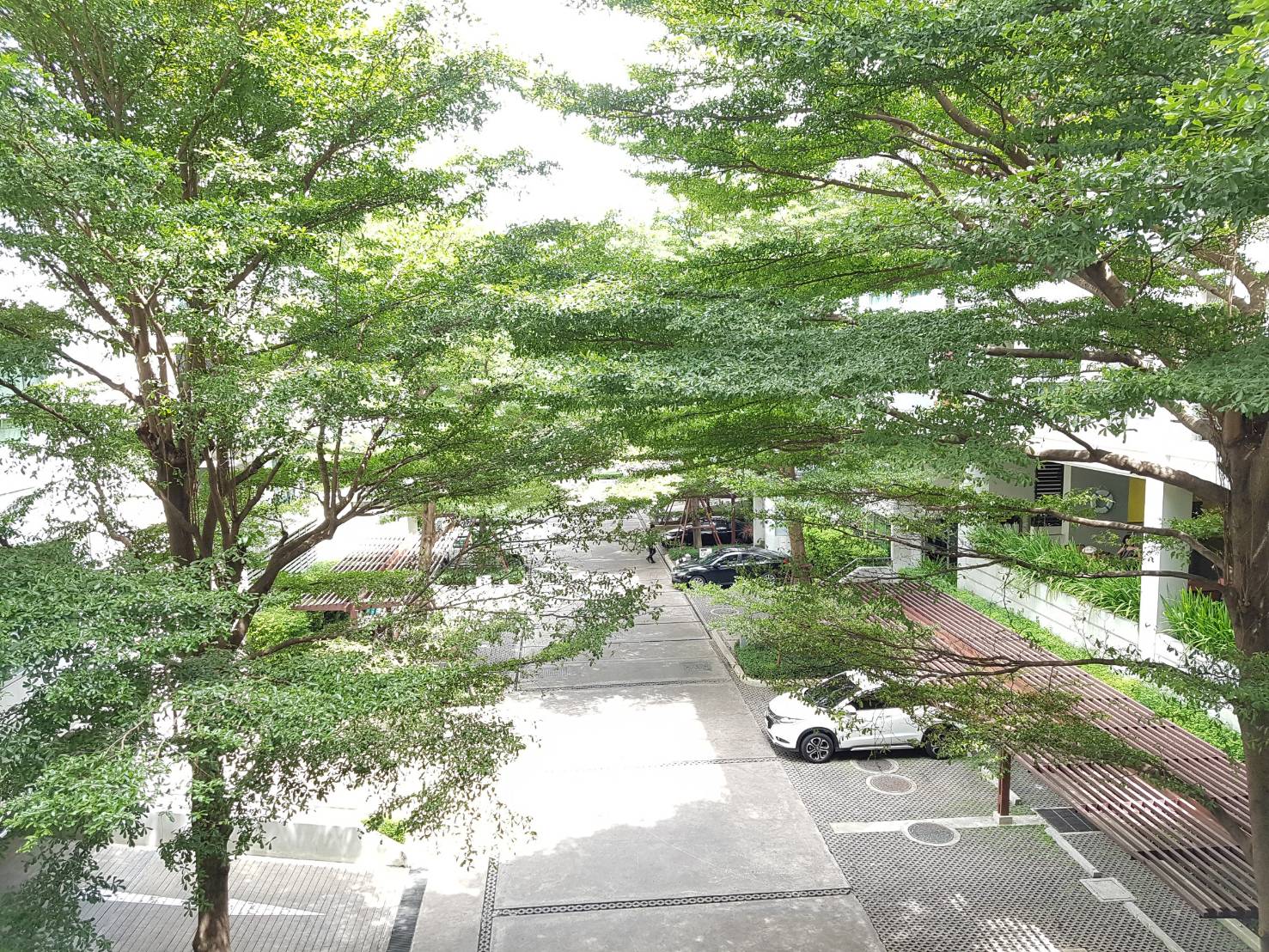 ขายคอนโดThe Room Sukhumvit 79 (เดอะ รูม สุขุมวิท 79) 2 ห้องนอน 1 ห้องน้ำ 1 ห้องนั่งเล่น ระเบียงสองฝั่ง