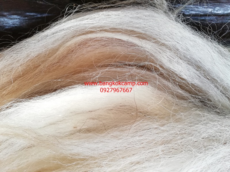 แส้ขนจามรีแท้ ด้ามหนัง​ ใหม่เก่าเก็บ ไม่ผ่านการใช้ (3) ขนสีขาว หายาก