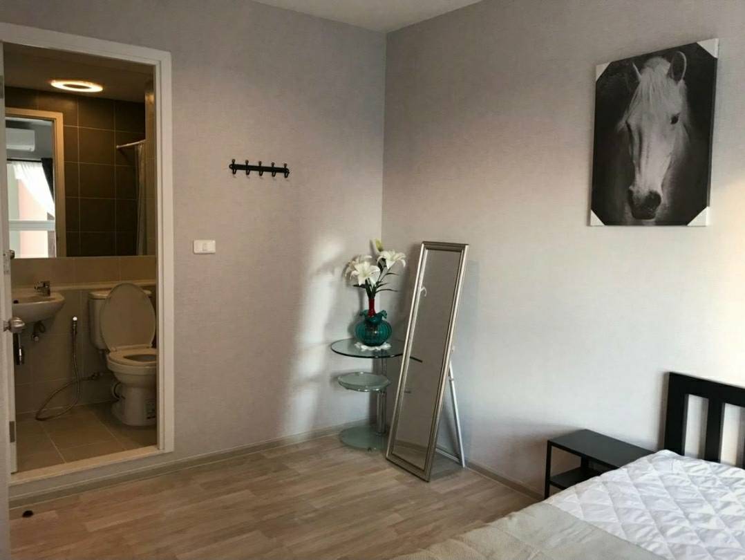 ขาย / เช่า คอนโด Plum Condo Ramkhamhaeng Station (พลัม คอนโด รามคำแหง-สเตชั่น ) 1 ห้องนอน 1ห้องน้ำ ห้องน้ำแยกส่วน