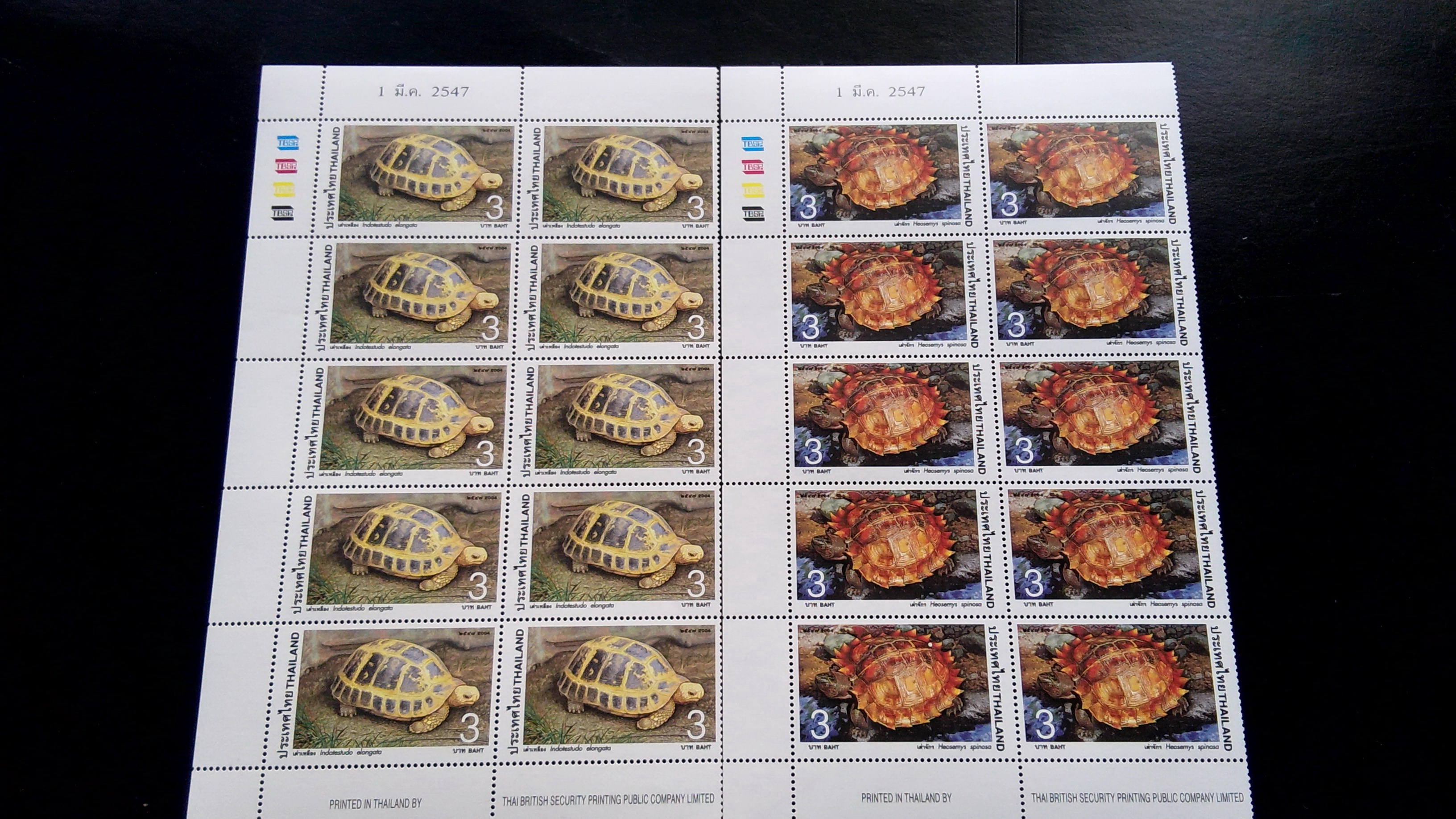 ชุดเต่า ปี 2547 บล็อค 10