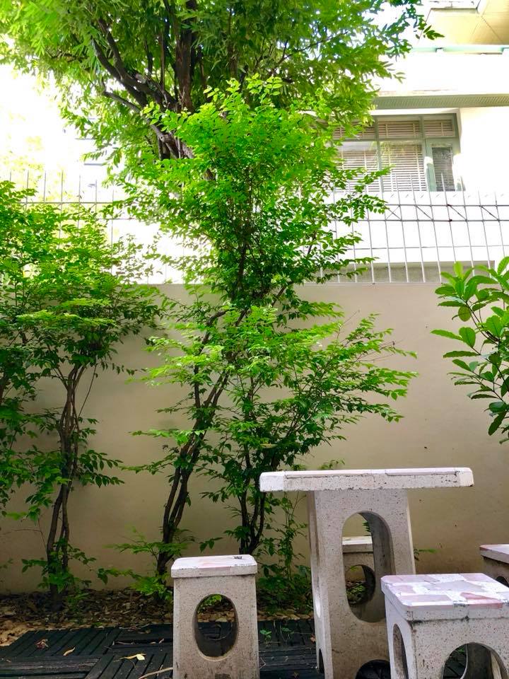 ให้เช่าบ้านและสำนักงานอโศก – พรหมพงษ์ ,ให้เช่าทาวน์เฮ้าส์ สุขุมวิทซอย 31 อโศก – พร้อมพงษ์ ราคาพิเศษ 59,000 บาท / เดือน