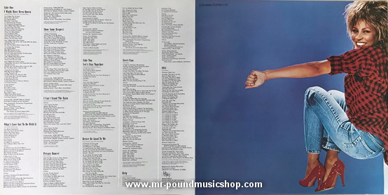 Tina Turner - Private Dancer