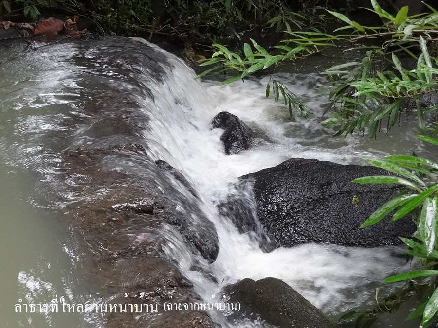 ขาย / ให้เช่า Brookside Valley 6000/ ต่อคืน ขาย 4.6 ล้าน บ้านเดี่ยว 2 ชั้น เนื้อที่ 220 ตรว. 2 ห้องนอน 2 ห้องน้ำ