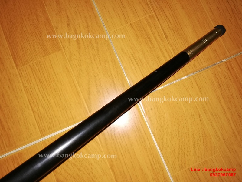 ไม้มงคลหายาก... ไม้ตะพด(ไม้งิ้วดำ) หัวทองเหลือง