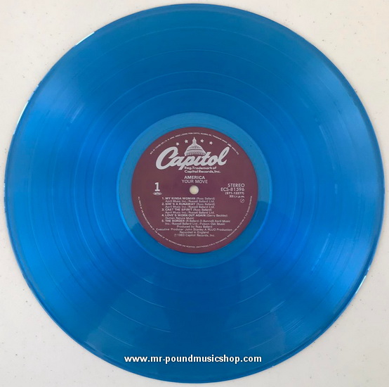 America - Your Move