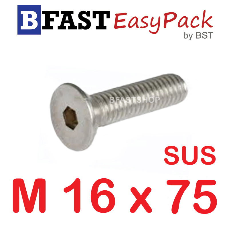 สกรูหัวจมเตเปอร์สแตนเลส SUS M16 x75 (1 ตัว/ถุง)
