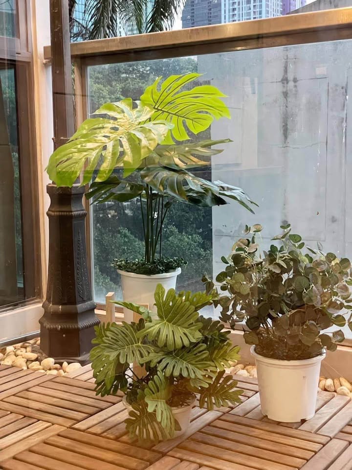 ✨ ให้เช่าคอนโด The Address Sathorn (ดิ แอดเดรส สาทร) (ทะลุสีลมซอย 9) ใกล้ BTS เซนต์หลุยส์ | โซนร้านกาแฟ คาเฟ่ ร้านอาหาร vibe ดีมาก!