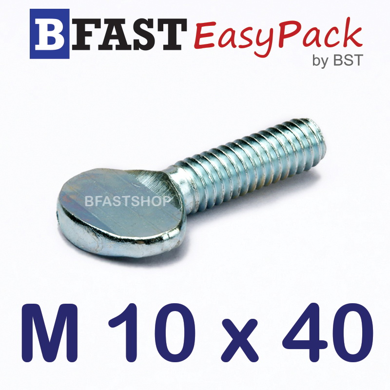 สกรูหางปลาแบน M10 x 40 (2 ตัว/ถุง)