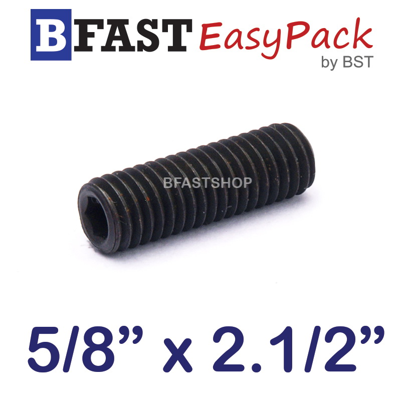 สกรูตัวหนอนดำ 5/16" x 2.1/2" (2 ตัว/ถุง)