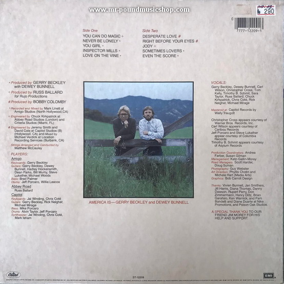 America - View From The Ground